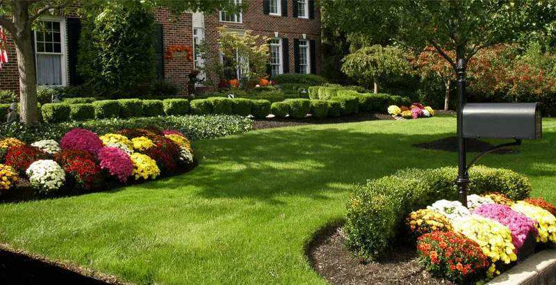 Lawn Maintenance